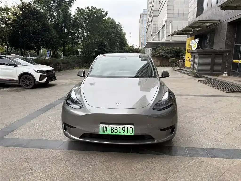 Tesla Model Y — фото 2