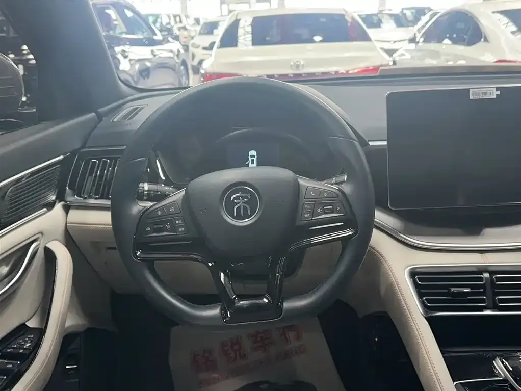 BYD PLUS New Energy — фото 6