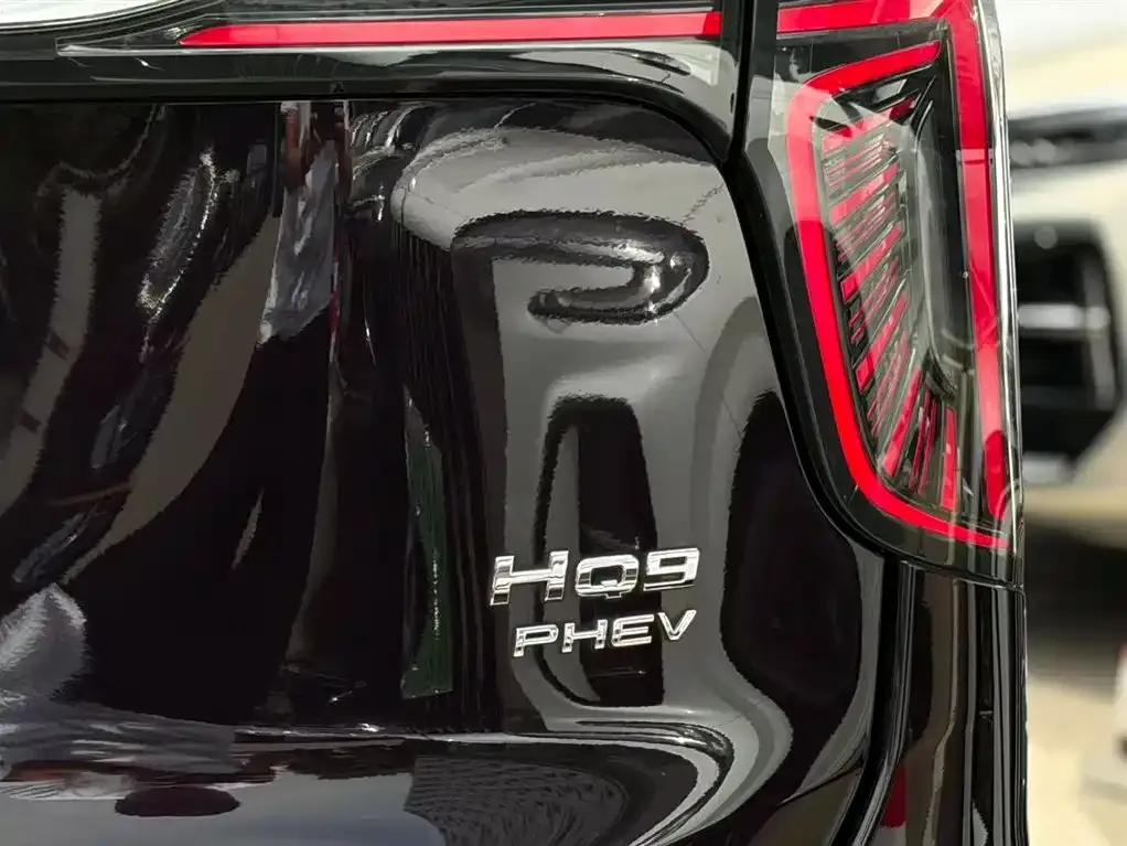 Hongqi HQ9 PHEV 2024 из CN, фото 4