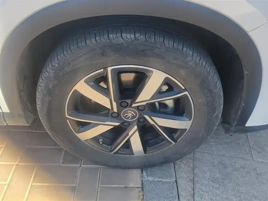 BYD Pro New Energy — фото 7