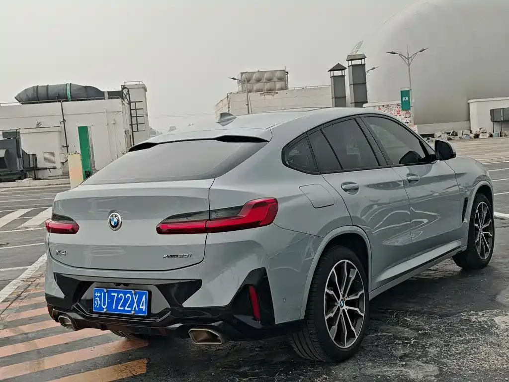 BMW X4 2022 из CN, фото 6