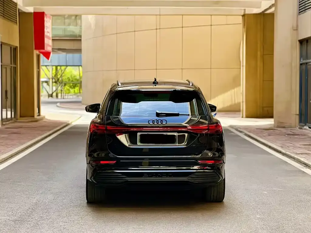 Audi Q5 e-tron 2023 из CN, фото 8