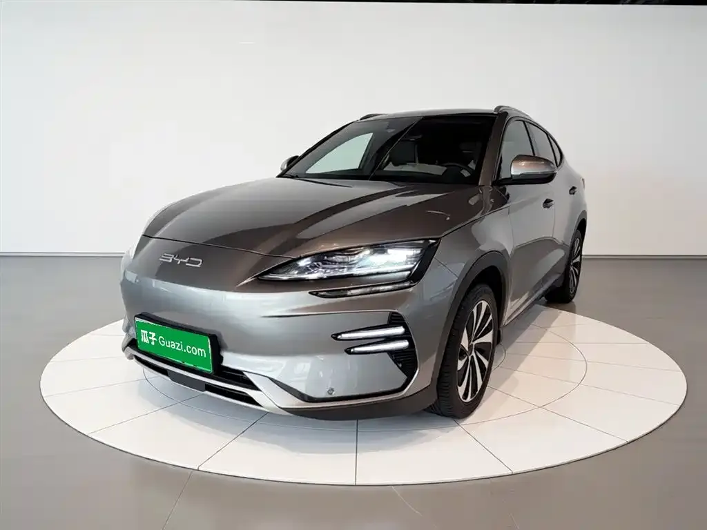 BYD PLUS New Energy — фото 3
