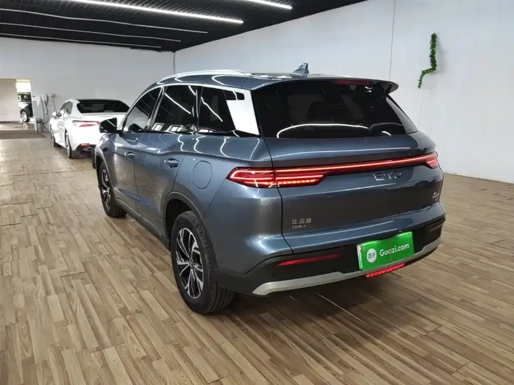 BYD Pro New Energy — фото 4
