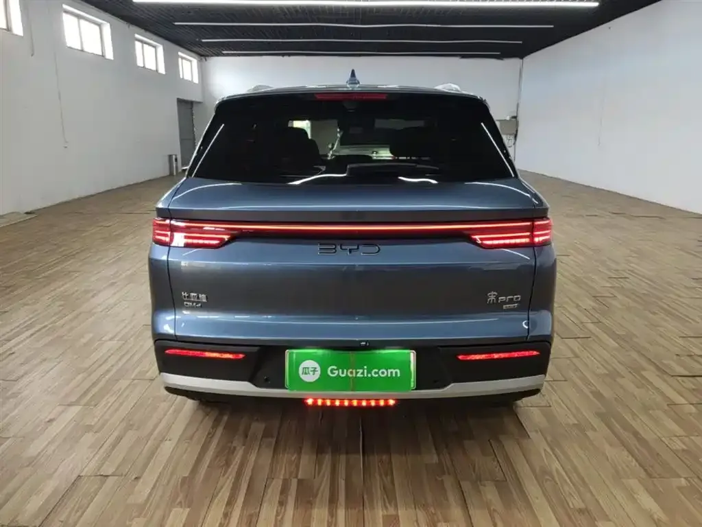 BYD Pro New Energy — фото 7