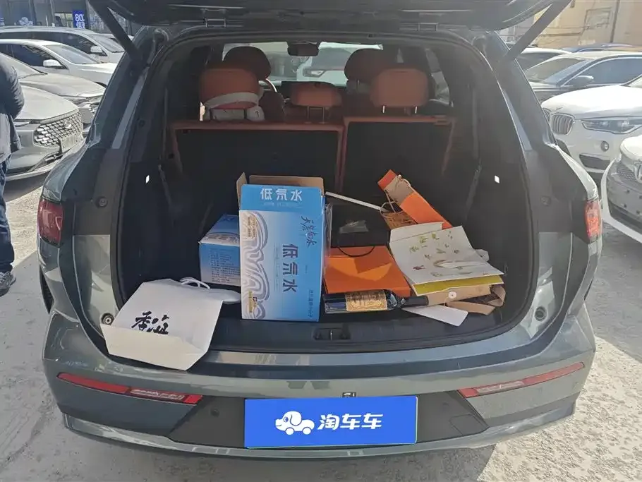 BYD Tang L 2025 из CN, фото 3