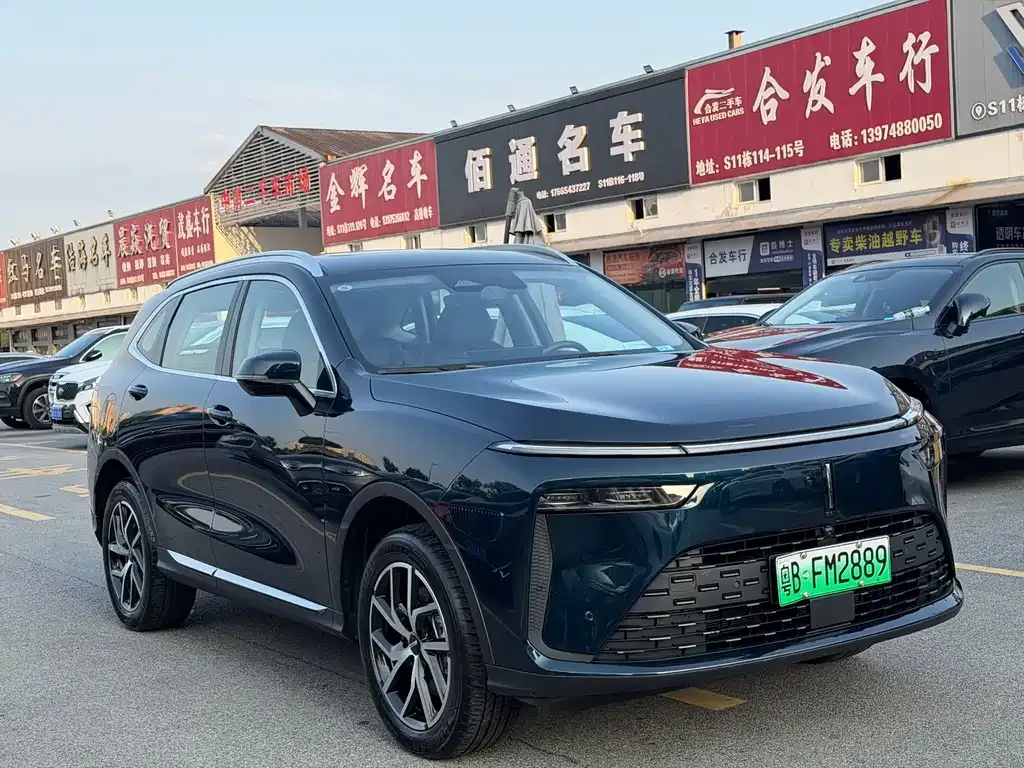 Wey Latte DHT-PHEV 2024 из CN, фото 9