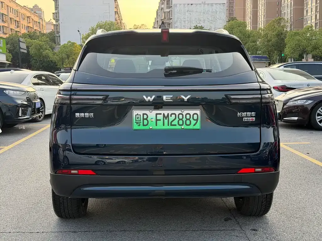 Wey Latte DHT-PHEV 2024 из CN, фото 10