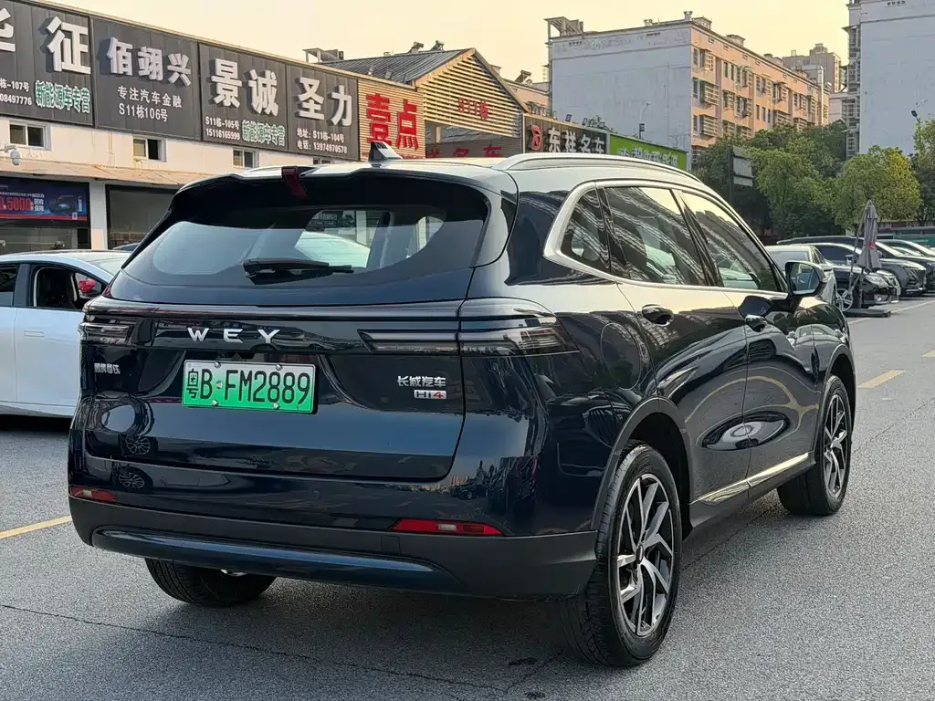 Wey Latte DHT-PHEV 2024 из CN, фото 7