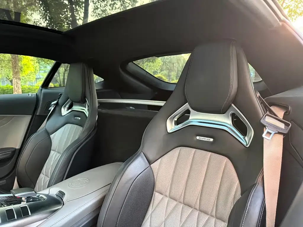 Mercedes-Benz AMG GT 2021 из CN, фото 3