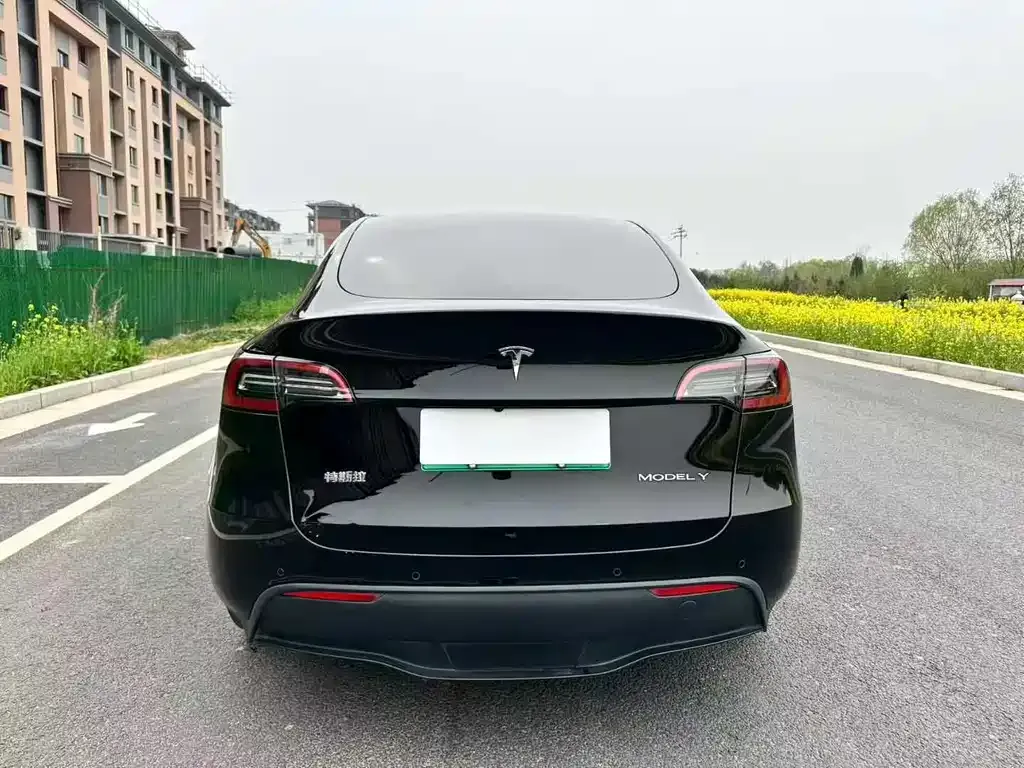Tesla Model Y — фото 4