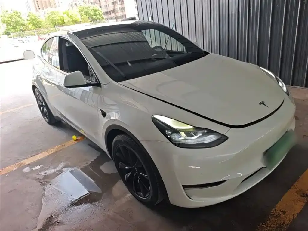 Tesla Model Y — фото 8