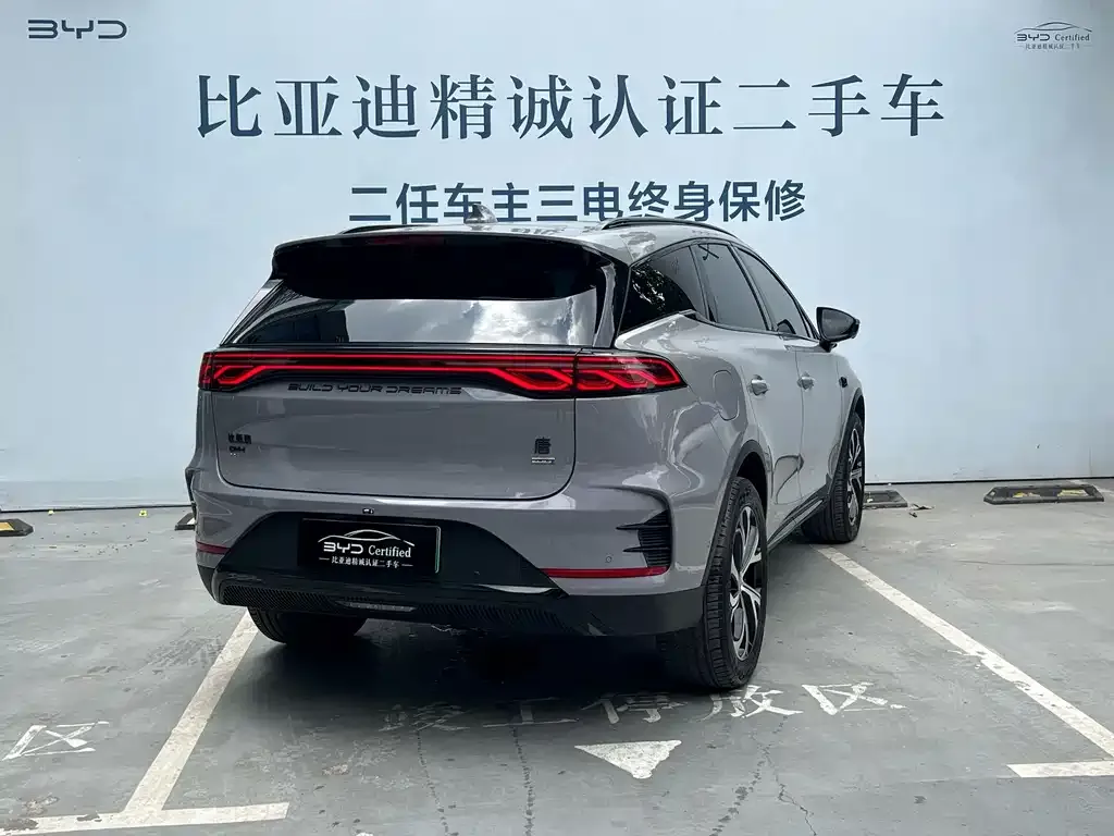 BYD Tang New Energy — фото 4