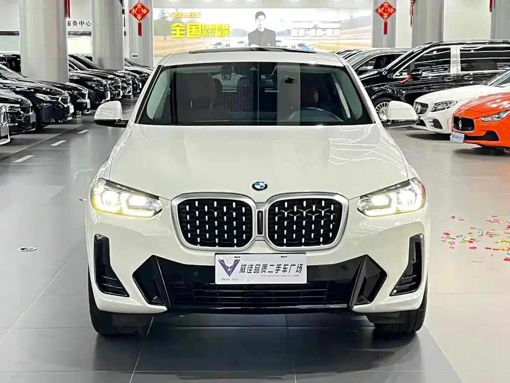 BMW X4 — фото 6