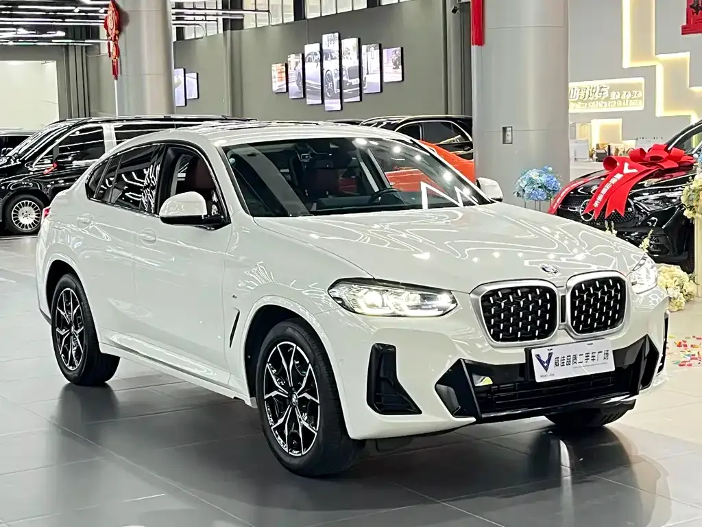 BMW X4 — фото 8