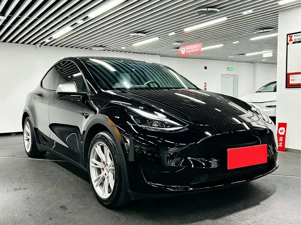 Tesla Model Y — фото 9