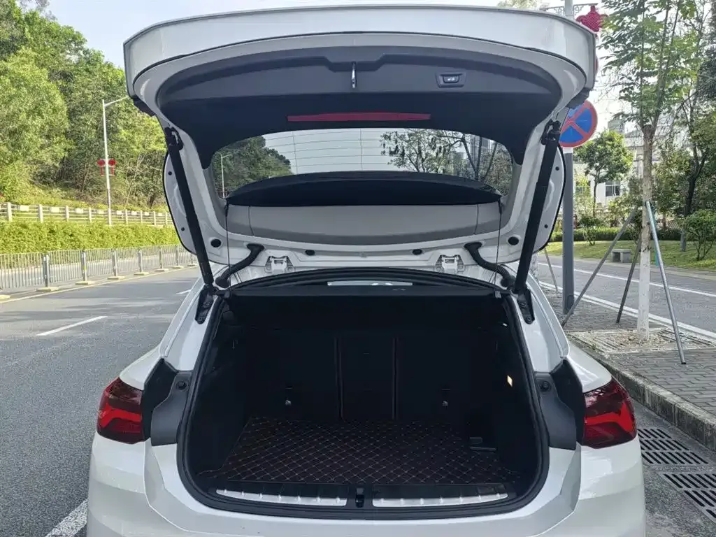 BMW X2 2022 из CN, фото 7