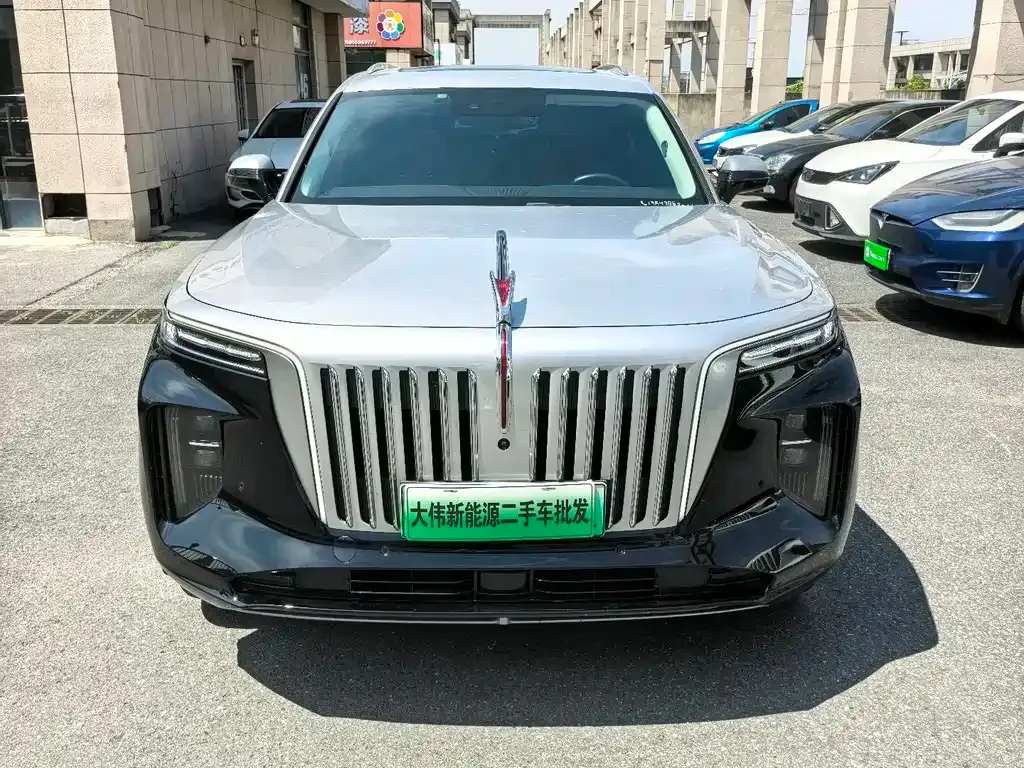 Hongqi E-HS9 2023 из CN, фото 10