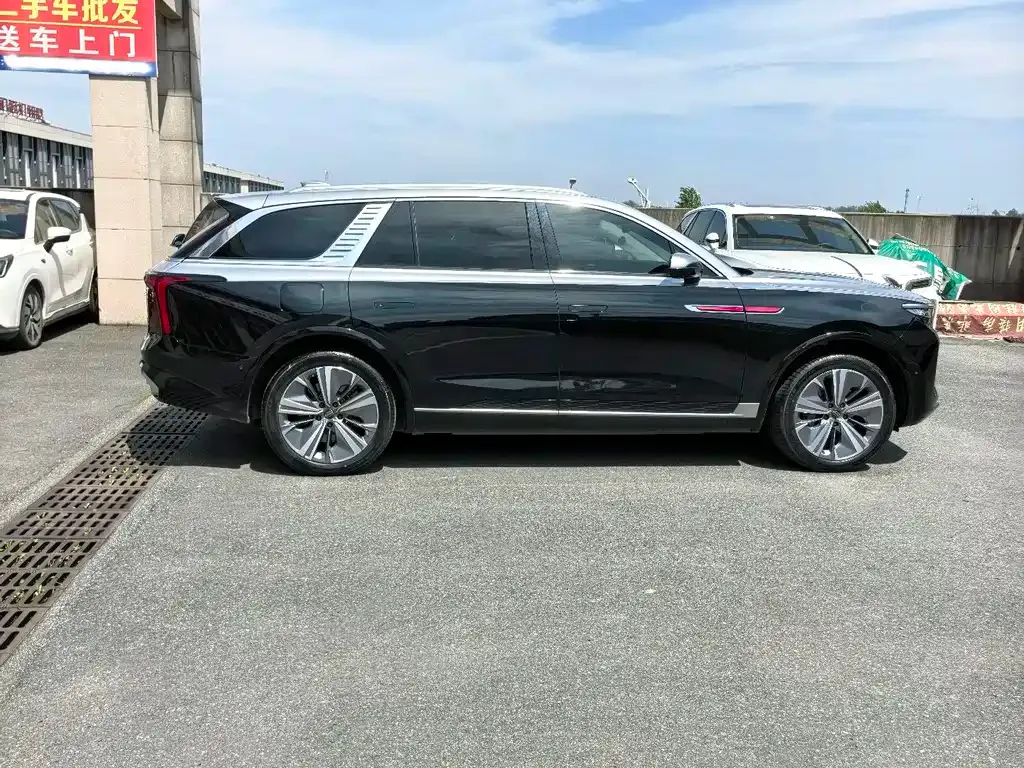 Hongqi E-HS9 2023 из CN, фото 6