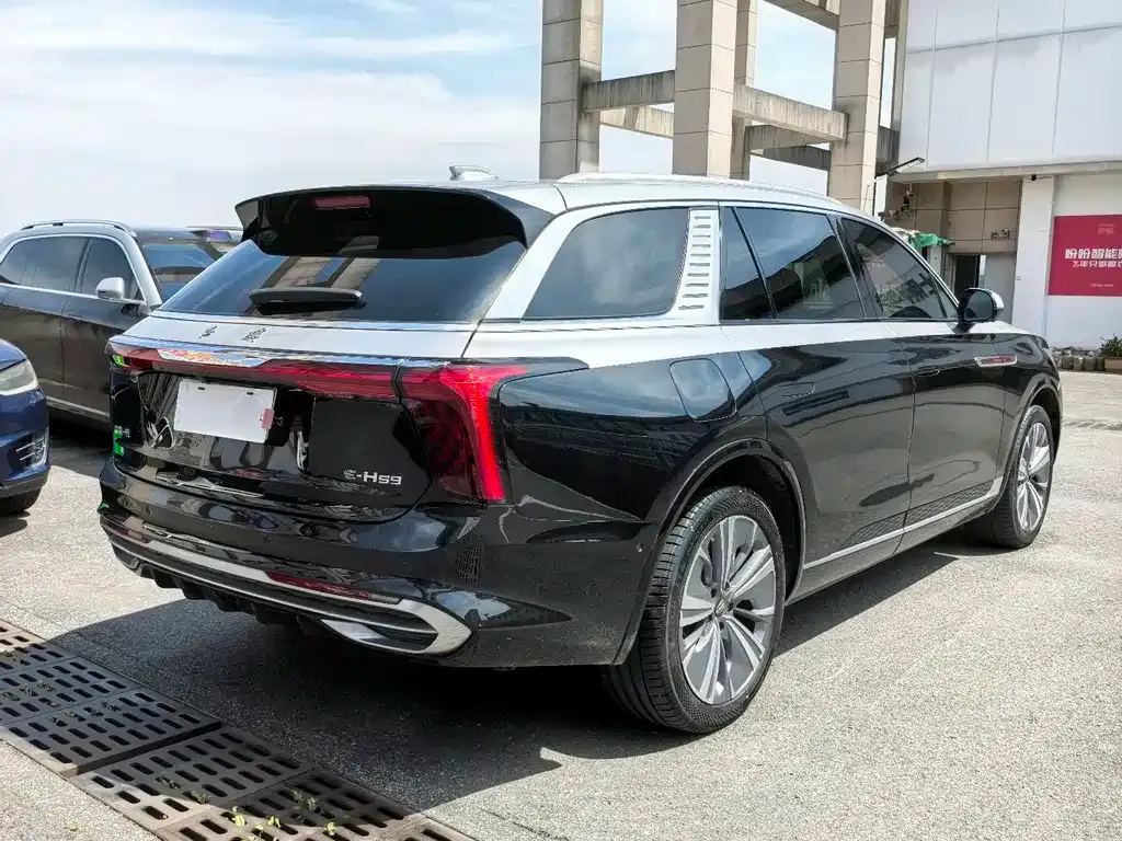 Hongqi E-HS9 2023 из CN, фото 9