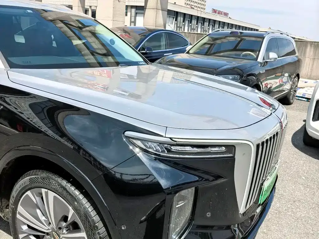Hongqi E-HS9 2023 из CN, фото 7