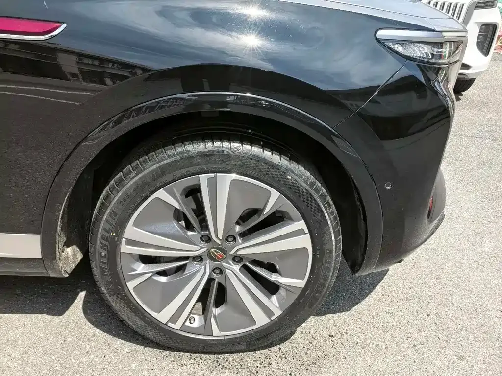 Hongqi E-HS9 2023 из CN, фото 8