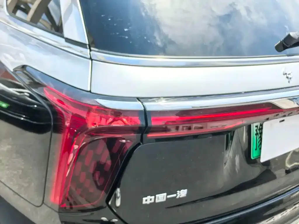 Hongqi E-HS9 2023 из CN, фото 2