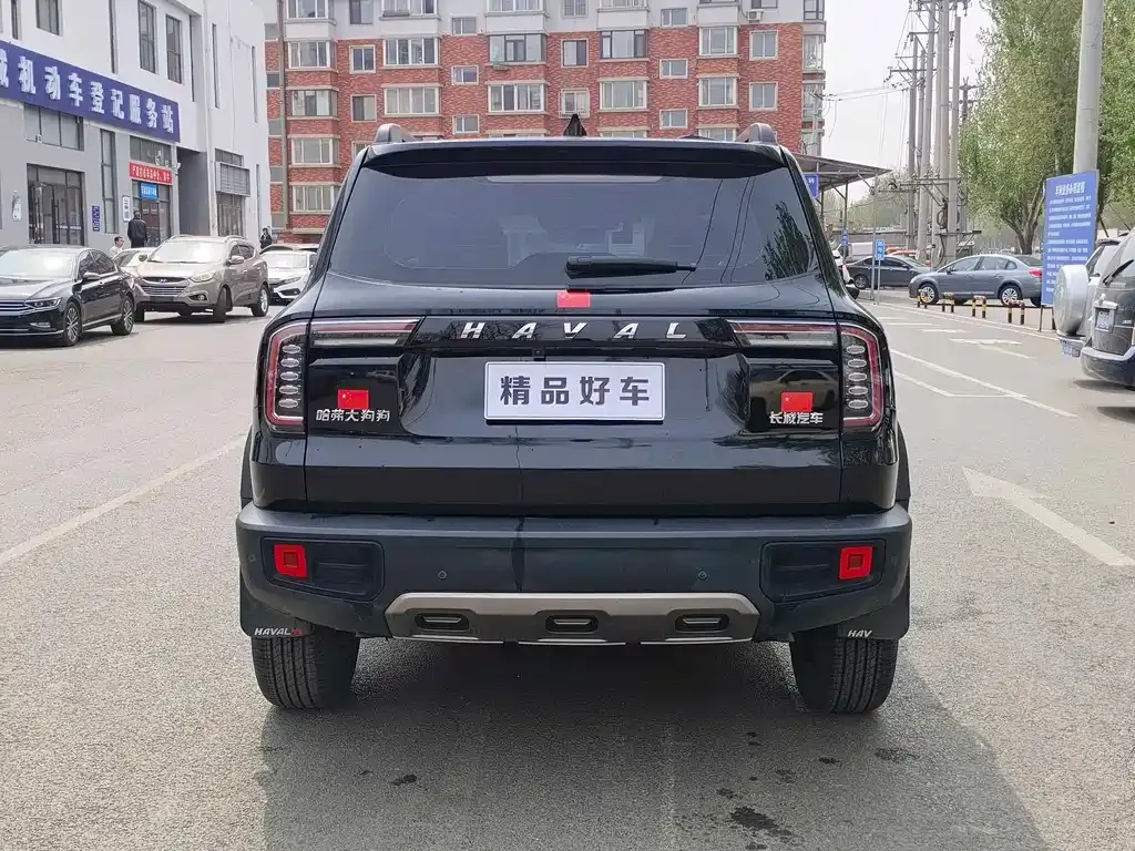 Haval Big Dog — фото 9