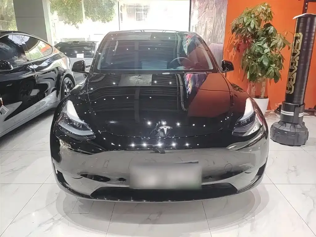 Tesla Model Y 2023 из CN, фото 9