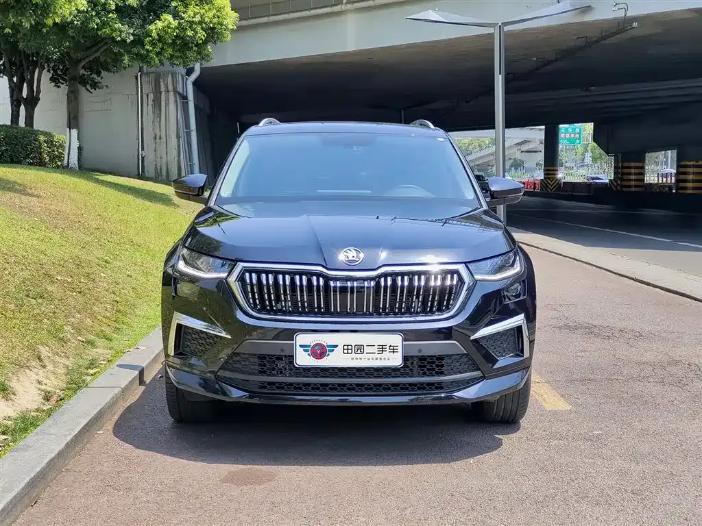 Skoda Kodiaq 2023 из CN, фото 4