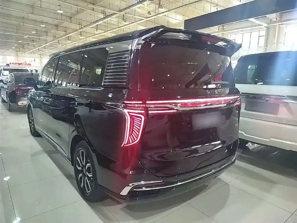 Hongqi HQ9 — фото 10