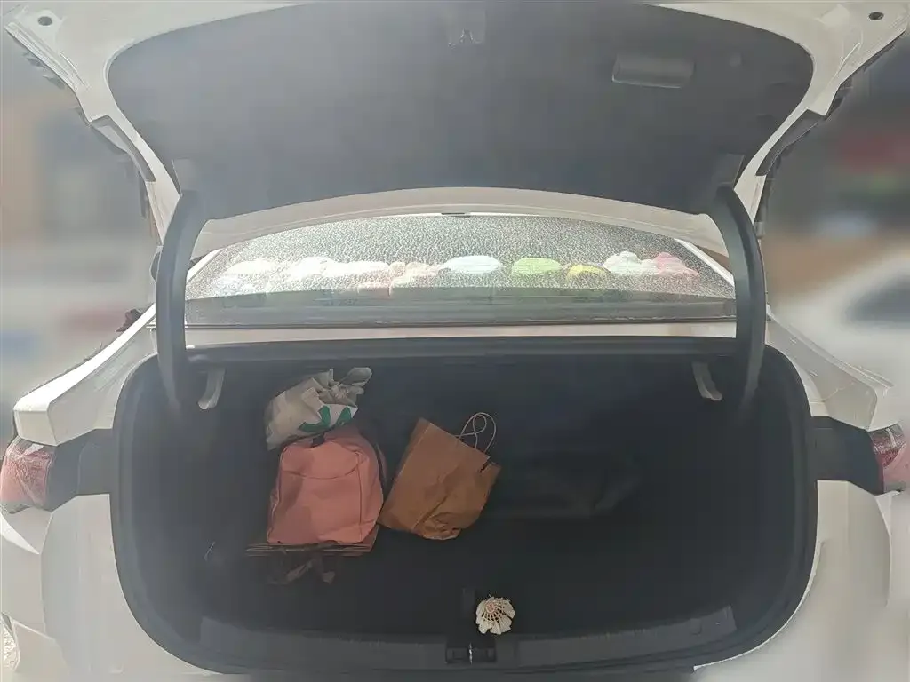 BYD Qin L 2025 из CN, фото 6