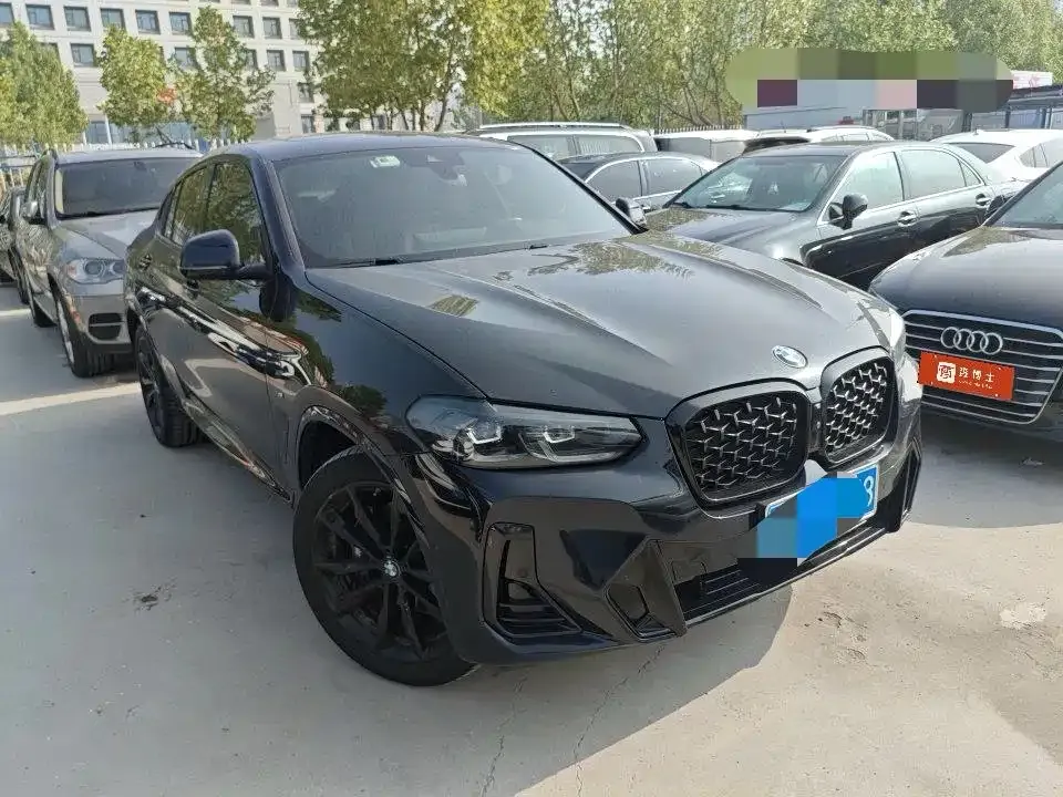 BMW X4 2022 из CN, фото 9
