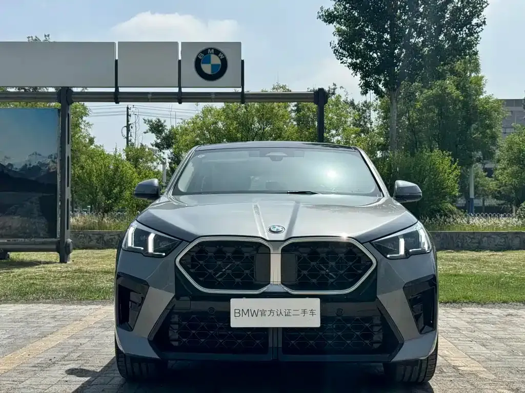 BMW X2 (Import) 2025 из CN, фото 6