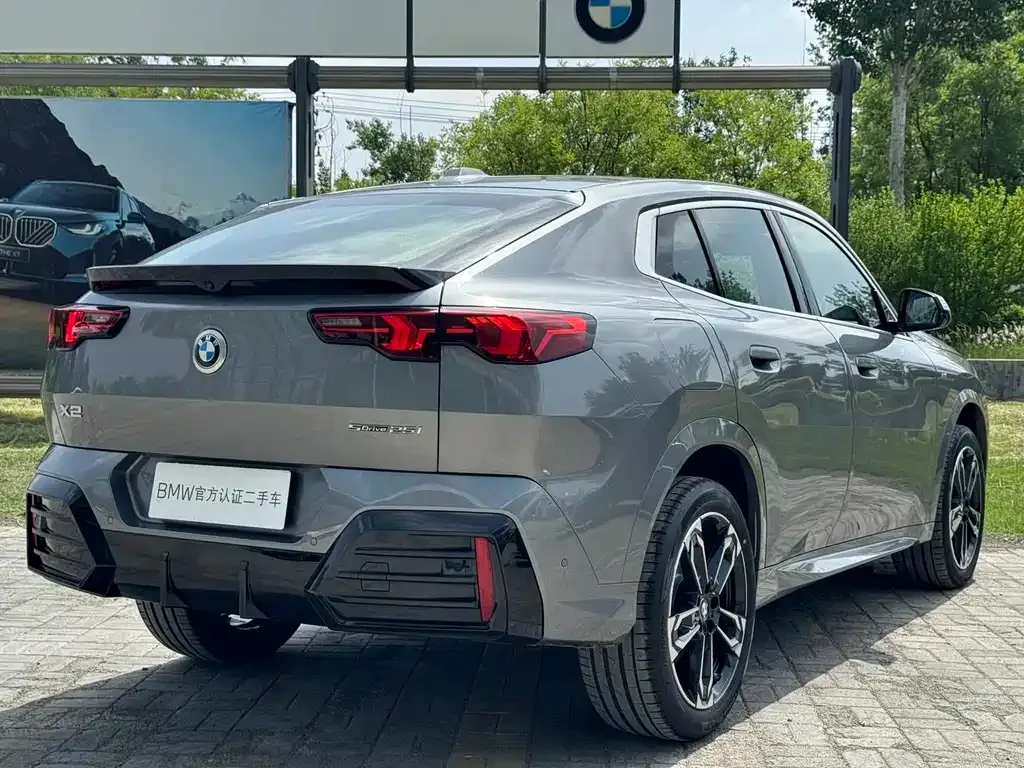 BMW X2 (Import) 2025 из CN, фото 10