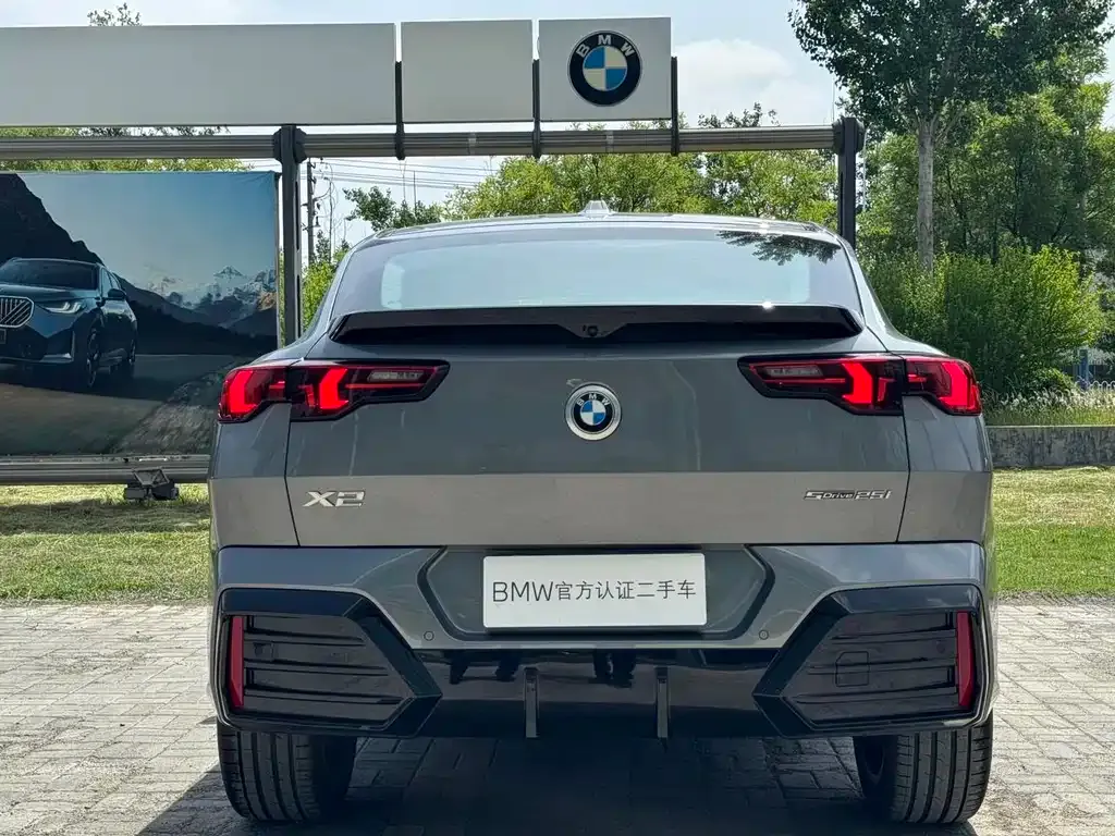 BMW X2 (Import) 2025 из CN, фото 9