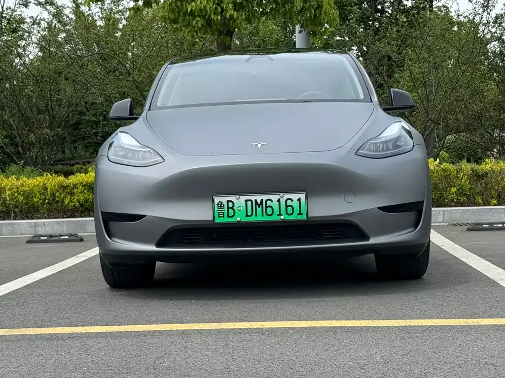 Tesla Model Y — фото 8