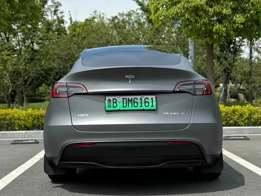 Tesla Model Y — фото 2