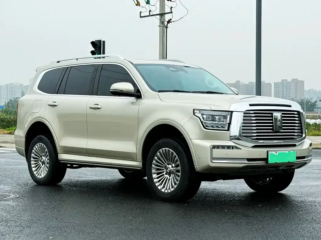 Tank 500 New Energy 2023 из CN, фото 7