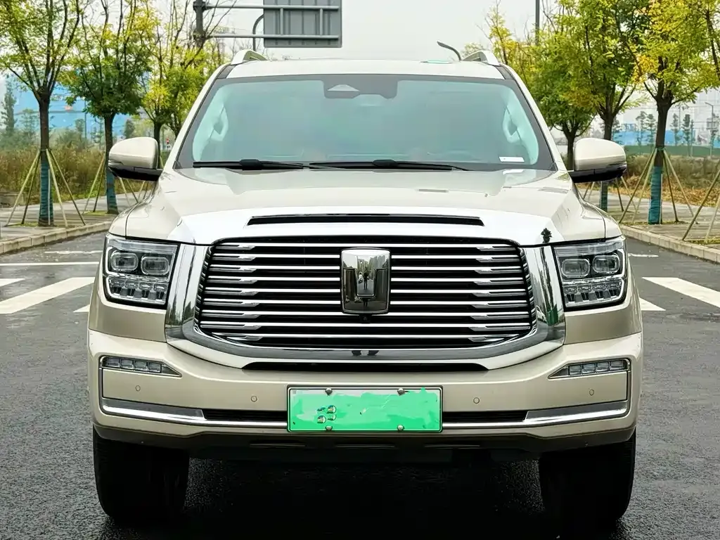 Tank 500 New Energy 2023 из CN, фото 10