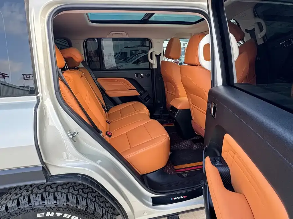 Haval Menglong New Energy 2024 из CN, фото 9