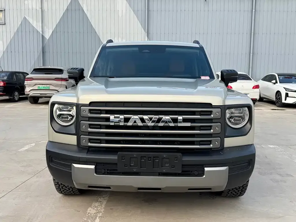 Haval Menglong New Energy 2024 из CN, фото 3