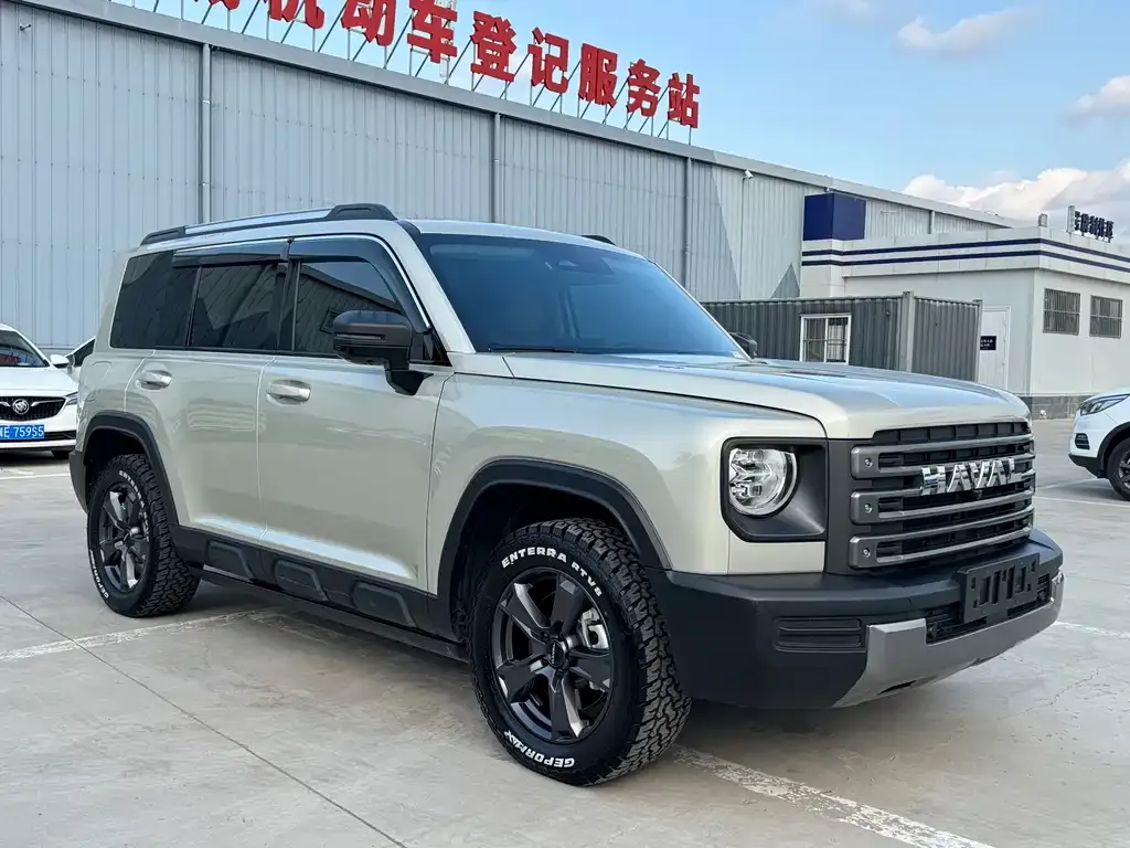 Haval Menglong New Energy 2024 из CN, фото 6