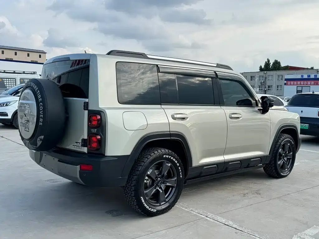 Haval Menglong New Energy 2024 из CN, фото 5