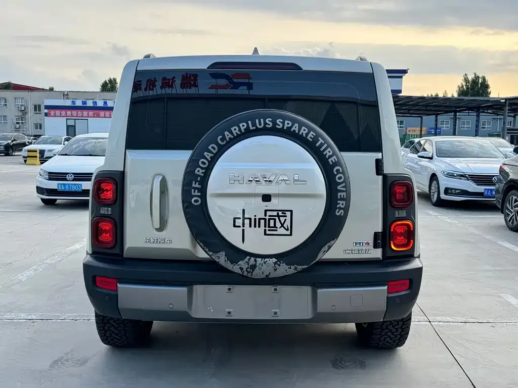 Haval Menglong New Energy 2024 из CN, фото 10