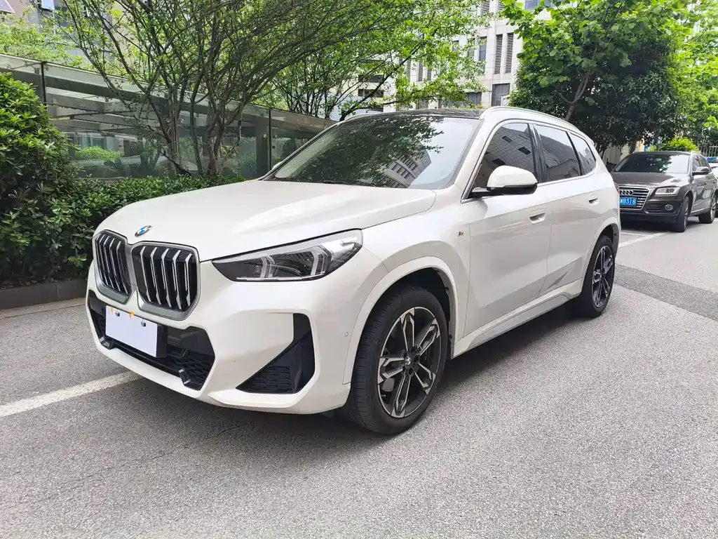 BMW X1 — фото 1
