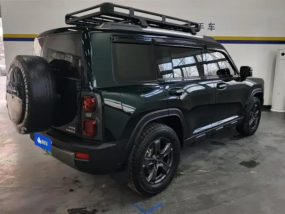 Haval Menglong New Energy 2024 из CN, фото 8