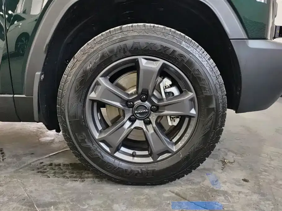 Haval Menglong New Energy 2024 из CN, фото 5