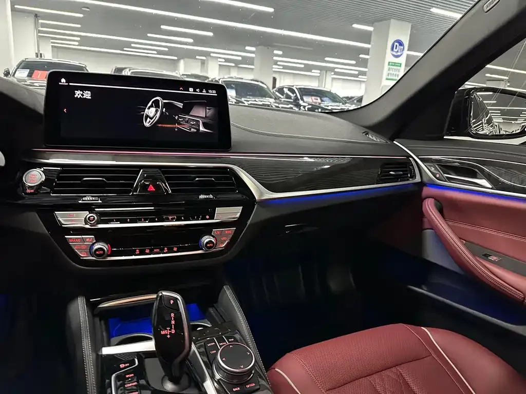 BMW 5 Series 2021 из CN, фото 9