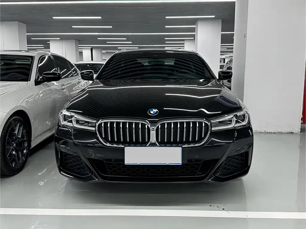 BMW 5 Series 2021 из CN, фото 2